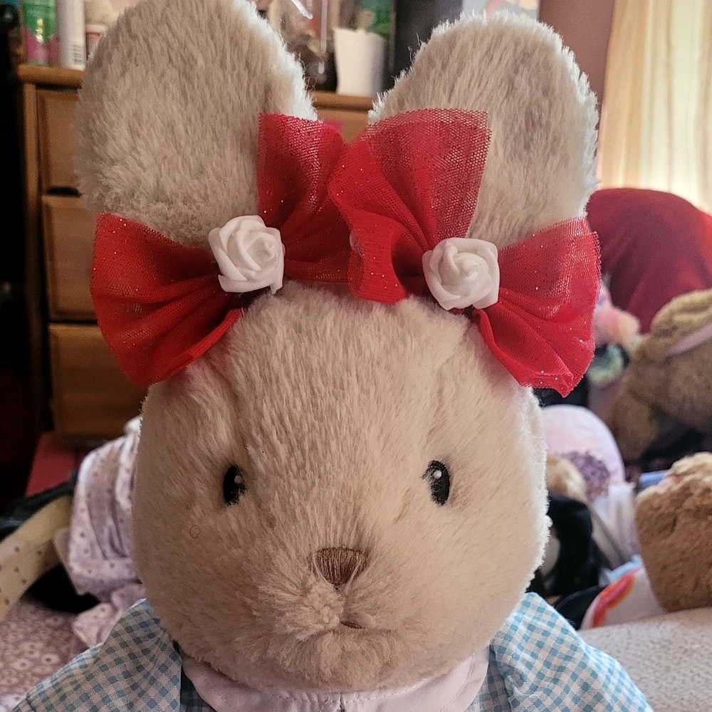 Meet your Posher, Joann